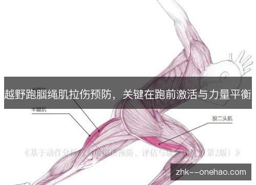 越野跑腘绳肌拉伤预防，关键在跑前激活与力量平衡